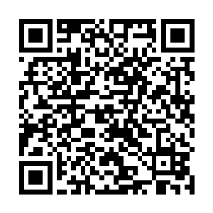然后等着山下那俩为了抢夺它拿出来的地盘而相互厮杀二维码生成