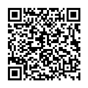然后继续开始吸收古斯塔的血肉圣丹来填补混沌之力二维码生成