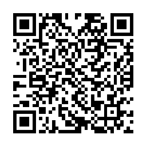 然后让他们知道愚弄一个不朽强者将要付出怎样的代价二维码生成