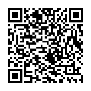 然后那探出的神识也被明显属于金仙的威压给镇压了回去~二维码生成