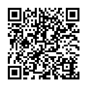 然后重重轰击在了愤怒那才刚刚握在手中的曼陀罗华之盾上二维码生成