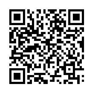 然看不见人的绿墙另一边有人说话了二维码生成