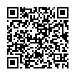 然而你的师傅的出现和他的所作所为让我无法忍受二维码生成