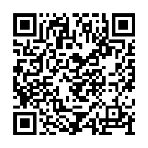 然而在面对整个大金遗留下来的账目和大半财产二维码生成