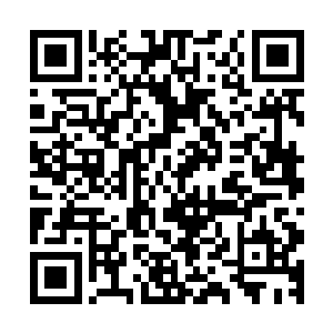 然而她不经意间落在若生身上的目光不由自主地多了两分探究二维码生成
