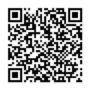 然而那个主动守规矩的孩子却要付出他本不该付出的代价二维码生成
