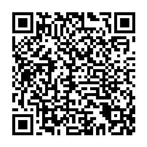 照这样子下去疤脸估计也不没有多少日子可活了光胖就能把它给胖死二维码生成