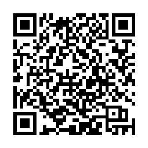 熊孩子和小萝莉妞妞在上面撒欢打滚都不用担心掉下来二维码生成