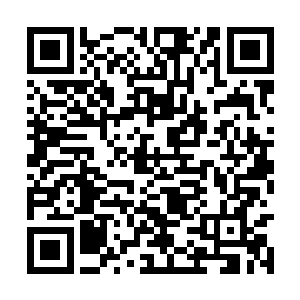 熟悉却又陌生的龙之血脉的气息在林烽的周围萦绕二维码生成