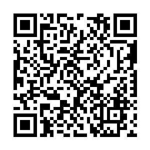 熟悉无比的强大血妖姬气息竟是猛然爆发了出来~二维码生成