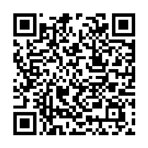 燕岚还和上次在忠勇侯府海棠苑小聚时的模样一样二维码生成