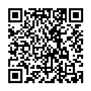 爪哇虎没有和他们商量的私自发展农业导致只剩下不到二十五只二维码生成