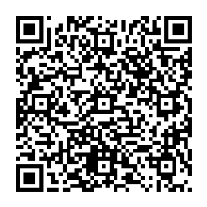 爱丽丝似乎已经想到了拉里伯爵在那个很会装模作样的华夏年轻人的手下吃苦的模样了二维码生成