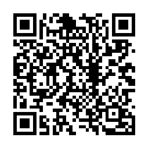 爱娜再次抵达精英学院时毫无疑问还是引起了轰动二维码生成