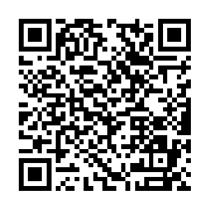 爱它是因为小世界是所有投资中最值得投资的存在二维码生成