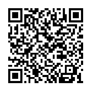 爱玛看着雷林还有几个请来的保罗等人都是不动二维码生成