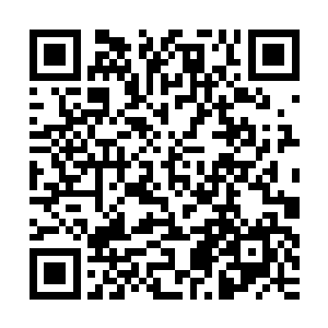 父母在仕途上的拼搏奋斗所获取的经验或多或少也会与他们分享二维码生成