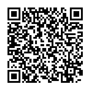 牟晨菲只能用这样的话题来分散自己猛然开始昏头转向的自然生理反应二维码生成