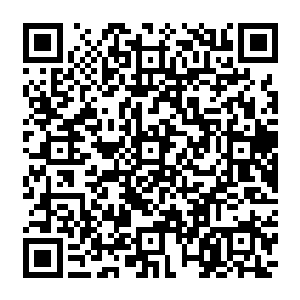 特别是他们都曾经从许天狼和许琴扬那里听到过不止一次他们和许紫烟出去游历的精彩二维码生成