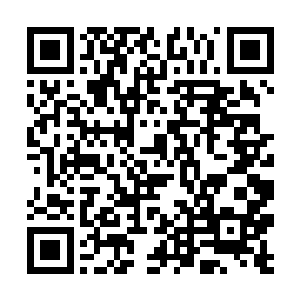 特别是身上的神力光芒以及刚才救走杰弗里斯的实力二维码生成