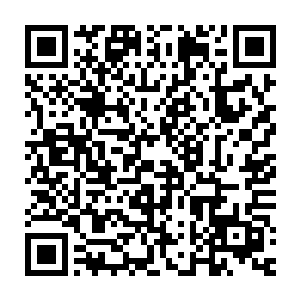 犹如蜘蛛网一般互相交织在一起形成一张渔网迅速的射向战争巨兽二维码生成
