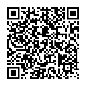 狮子圣骑天秤圣骑还是在广场之上的其他人都知道那是苏凡打出来的二维码生成