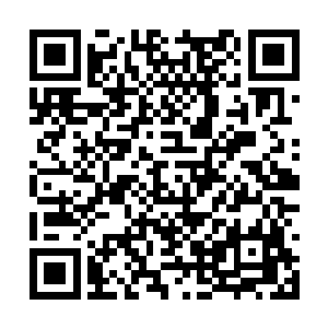 玄黄小世界的李太初和李道极都是传奇学府的导师二维码生成