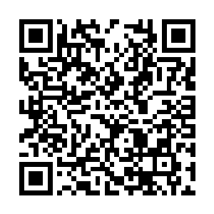 率领着我们南方修士最终将金甲神将击成重伤而逃二维码生成