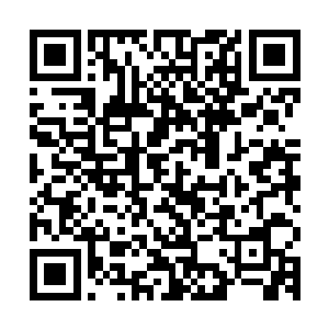 王世子一分前才将他口中的全民来编程软件安装在了他的手机上二维码生成