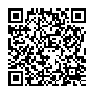 王世子在世界人工智能大会上发布这一视频绝对是个英明的选择二维码生成