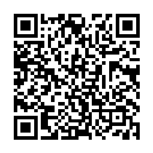 王世子挑星空娱乐遇到困境的时候开发布会是为了啥二维码生成