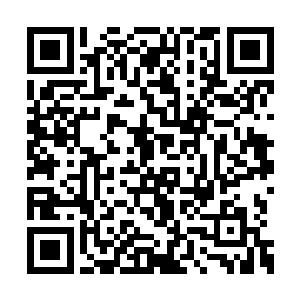王世子自然而然的便切换到了他的幼年模式……二维码生成