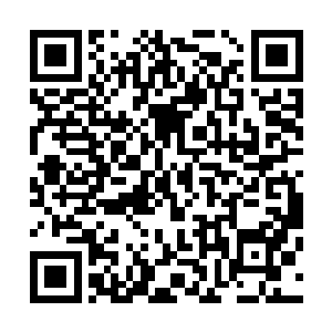 王司令员等人身后走在长长铺着红地毯金碧辉煌的走廊中时二维码生成
