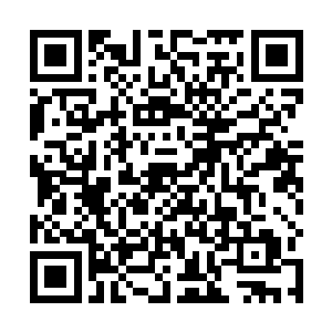 王宫的城墙上最后忠于卷帘的禁卫拉开了一排排的弓铉二维码生成