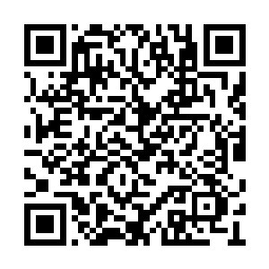 王斌是华山公馆开发商金诚置业集团的法人代表二维码生成