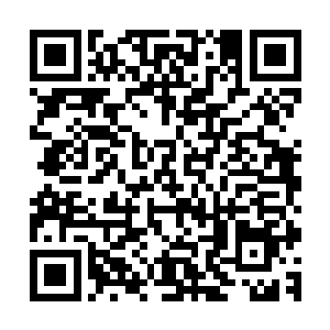 王莲外面的那一圈不管对人类还是动物来说都有很大的好处的二维码生成