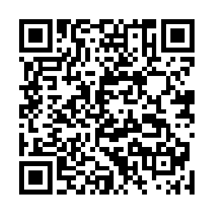 王贺瞬间奔逃躲过了秦宇的五色火焰只被火焰沾染了手臂二维码生成
