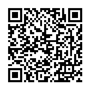 王铮可以意气风发的去做自己的事儿但老贾一定要小心注意二维码生成