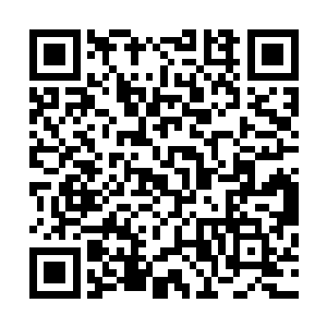王阳和林秋燕两个人才战战兢兢的在下手位的位置坐了下来二维码生成