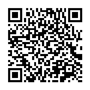 玛吉与生俱来的才能和不可动摇的信念最终感动了固执的法兰基二维码生成