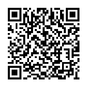 环保局长夏明国则一脸沉重地坐在秦飞跃办公室二维码生成