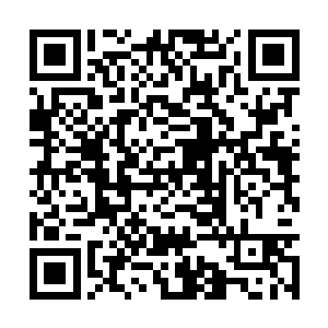 现在三只都已经被狩猎队拖到山上屯食物的洞里了二维码生成