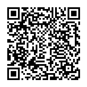 现在他们好像终于明白为什么天涯这么精明的势力会拿出一件半仙器作为奖励了二维码生成