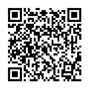 现在他们已经斩杀了霸天宗一个大帝境界的高手了二维码生成