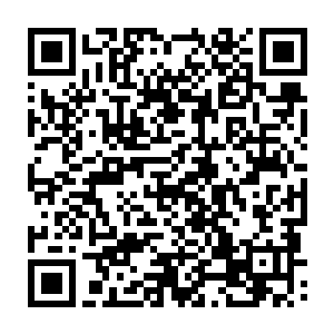 现在他正和马里奥在房间里商量收拾残局和选举就任11人委员会教父的事情二维码生成