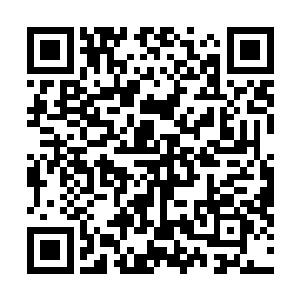 现在勒安森和他的安莫尔自由解放组织可以说是一战成名二维码生成