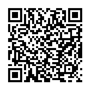现在可能也是想明白有比给孙有机报仇更严重的事儿了二维码生成