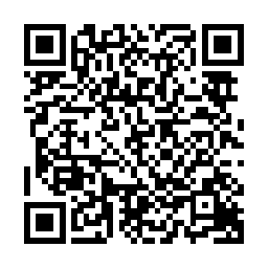 现在地球方面的优秀生源几乎都被战神学院和宙斯学院招揽去了二维码生成