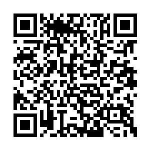 现在她竟还召集了几个别的仙盟的来帮她报复我二维码生成