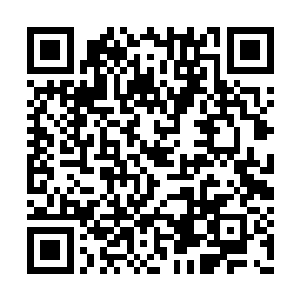 现在小白体内的能量也开始不稳定的波动了起来二维码生成